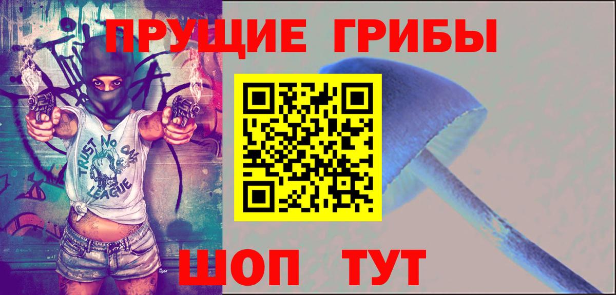 Кисловодск  Псилоцибиновые грибы ЛСД  Вход с VPN 