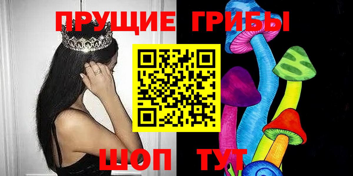 Псилоцибиновые грибы Psilocybe Кисловодск